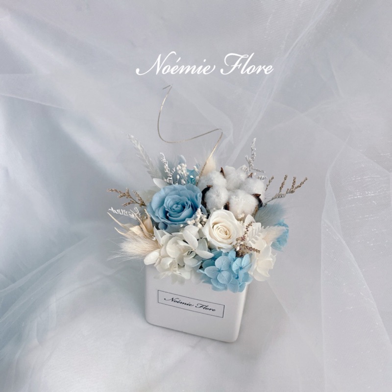 Noemie盆花系列 靈靈永生花盆花 乾燥花 盆栽 禮物 辦公室擺設 盆花 永生花 不凋花 蝦皮購物