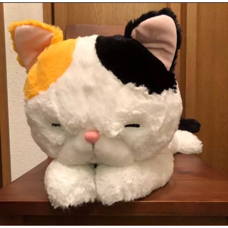 (現貨優惠活動）日本AMUSE 抱っこ猫むーにゃん 三毛貓 貓奴 toreba 約56公分大