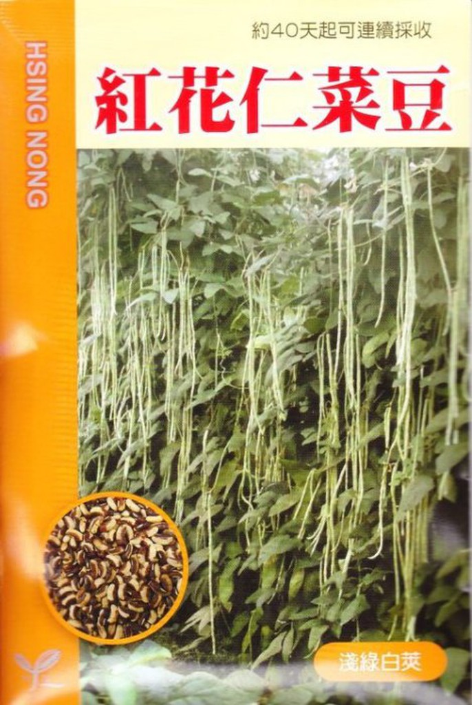 四季園 紅花仁菜豆 【蔬果種子】興農牌 中包裝種子 每包約5公克