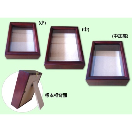 標本箱｜優惠推薦- 蝦皮購物- 2026年5月