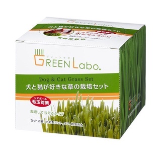 日本GreenLabo燕麥盆栽組DIY新鮮貓草盆栽燕麥種子貓草組合包懶人包易種包=白喵小舖=