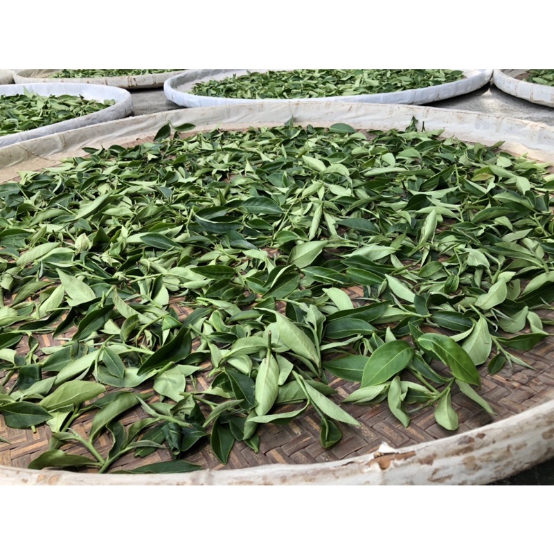 自然農法  佛祖綠茶