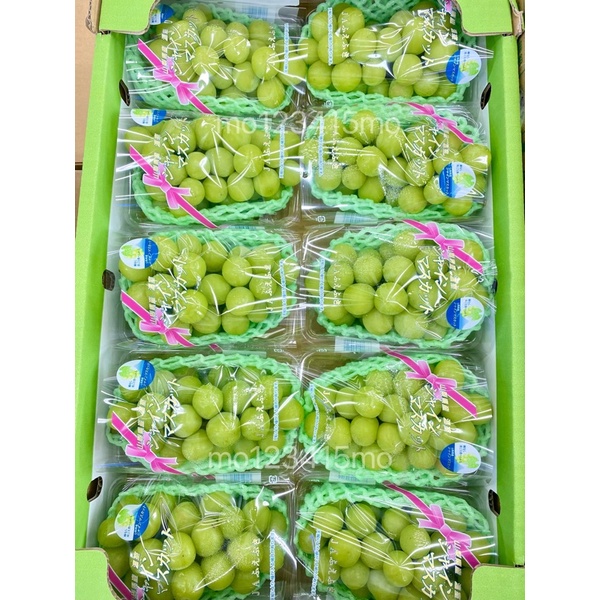《空運》日本🇯🇵「溫室」-麝香葡萄🍇原裝10盒