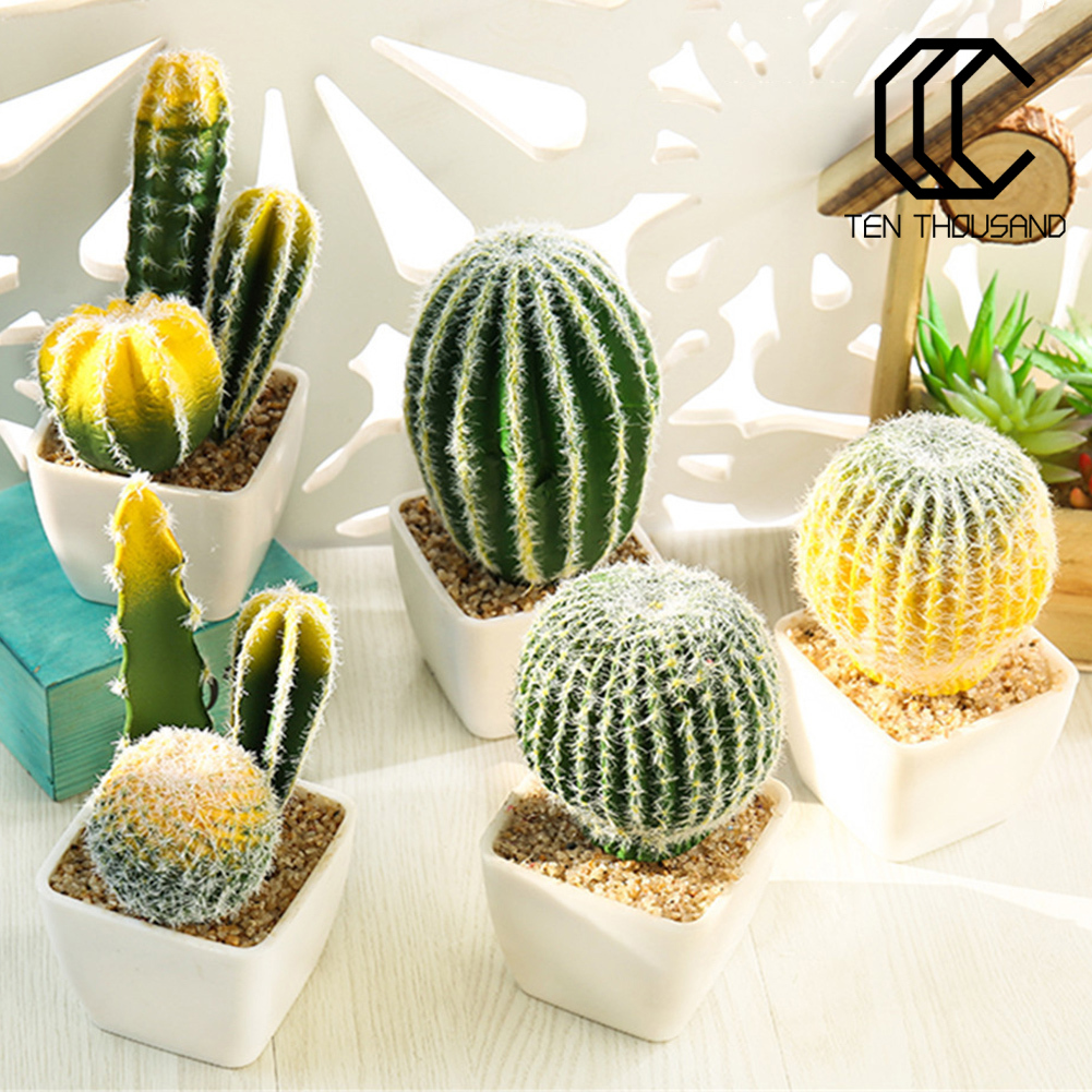 觸角和 1pc 人造肉質植物盆栽盆景diy 家庭辦公室家具裝飾 蝦皮購物