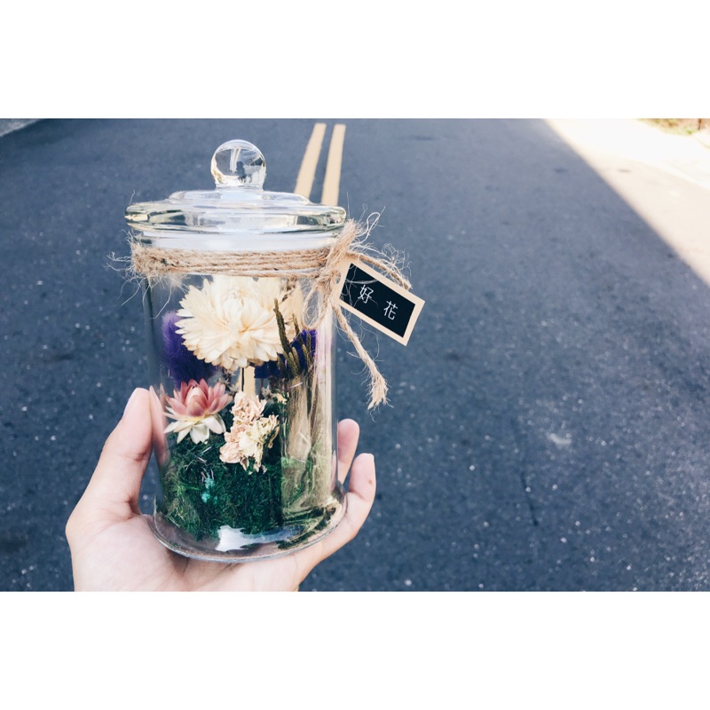 瓶中花乾燥花玻璃瓶 蝦皮購物