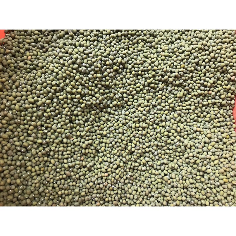 （永豐行）精選毛綠豆600克/包 1斤裝 綠豆
