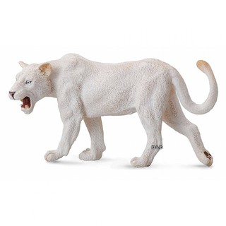 COLLECTA動物模型 - 白母獅 < JOYBUS >