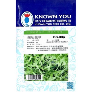 《農友種苗》精選草種子 GS-005 類地毯草