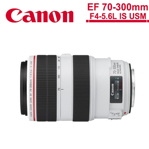 Canon EF 70-300mm F 4-5.6L IS USM的價格推薦- 2023年10月| 比價比個 