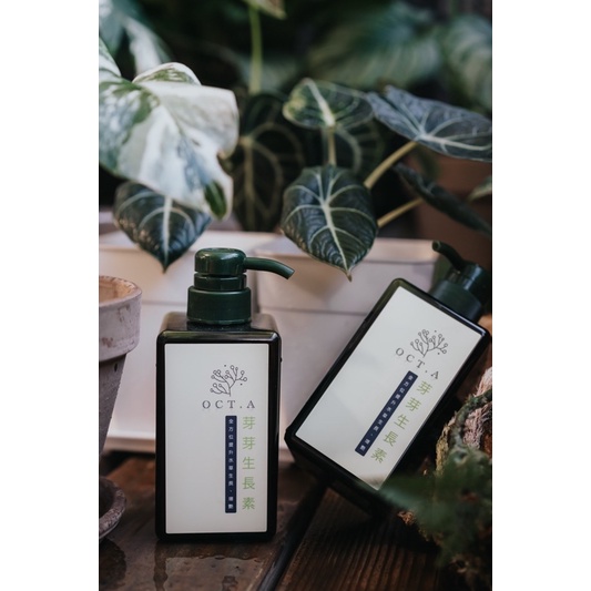 芽芽生長素 多合一型水草液肥 辣椒榕液肥