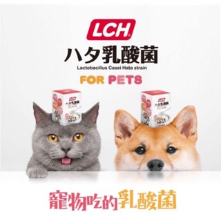 日本進口🇯🇵LCH寵物乳酸菌60g貓狗腸胃寵物保健狗狗乳酸菌貓咪乳酸菌效期2026