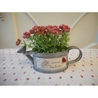~~凡爾賽生活精品~~全新馬口鐵澆花器小紅花造型小盆栽擺飾
