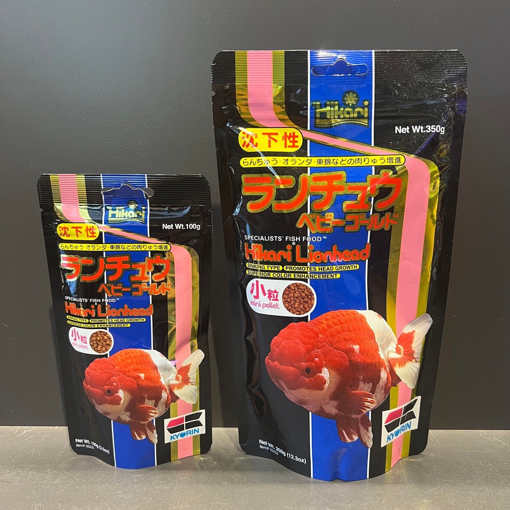 蘭壽獅頭金魚 Ptt與dcard推薦網拍商品 21年12月 飛比價格