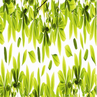 義大利進口HOME DECOR 景觀靜電玻璃貼飾 31cmX99cm 滿園綠(C68002)