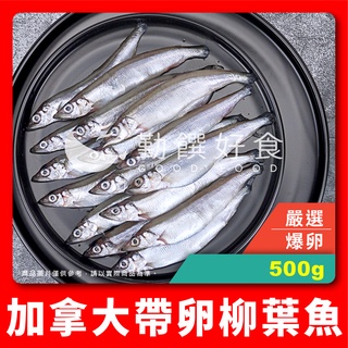 【勤饌好食】加拿大 帶卵 柳葉魚 (毛重500g淨重400g±5%/包)柳葉魚 爆卵 抱卵 喜相逢 蛋蛋魚 F30E5