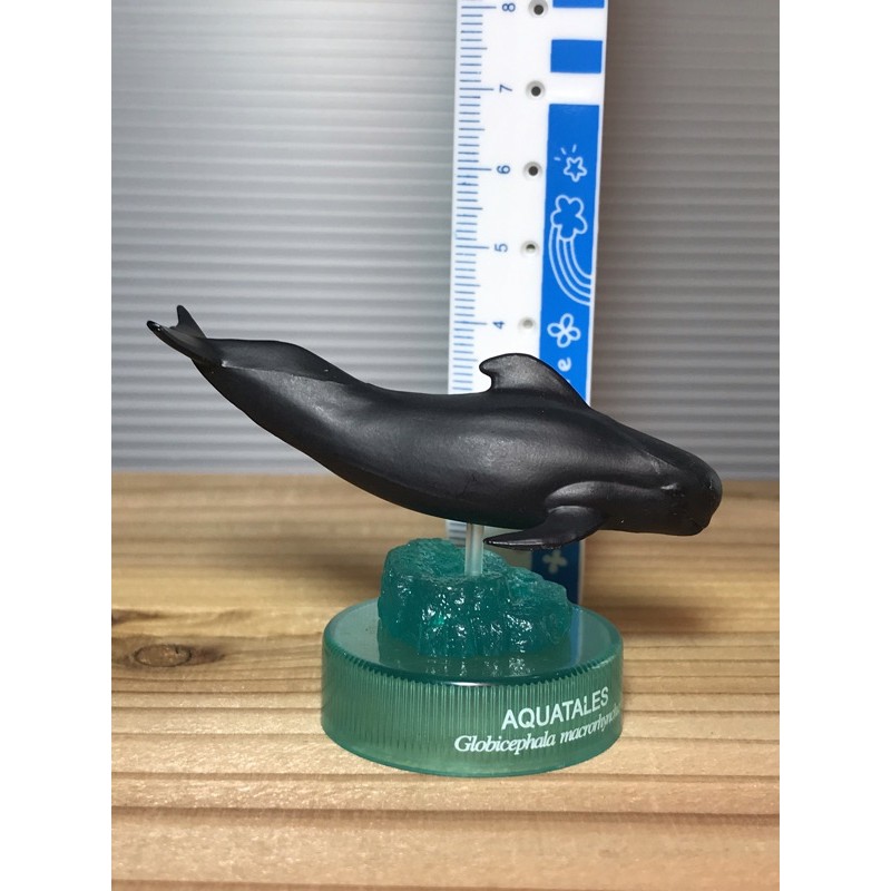 A 海洋堂 黑潮的魚與海洋動物 短肢領航鯨 尾巴有缺角 特價 #440