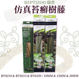 REPTIZOO 瑞普 模擬苔蘚樹藤 爬缸 樹棲型 攀爬 模擬樹藤 假藤蔓 造景 變色龍 蜥蜴 睫角守宮 蛇 婷婷百貨