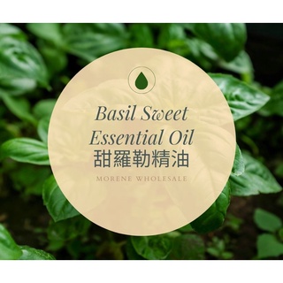 【MW精油工坊】甜羅勒精油 Basil Sweet Essential Oil 10ml