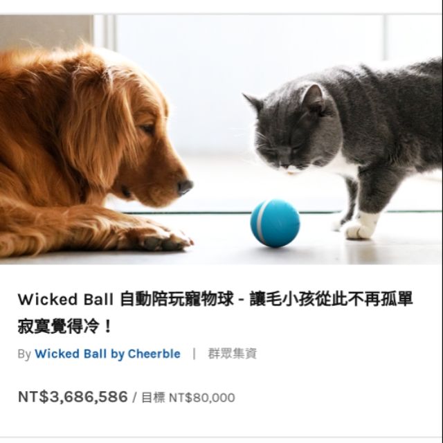 嘖嘖 wicked ball 寵物球 自動陪玩球 綠色 九成九新