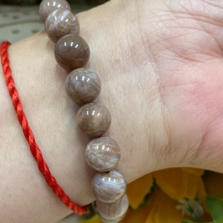 天然樹化玉手珠 8mm 木化石 手珠佛珠手鍊 蝦皮購物