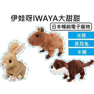 【玩具兄妹】現貨! 伊娃呀IWAYA大甜甜 水豚/長耳兔/水獺 日本暢銷電子寵物 日本正版授權品 臺灣現貨