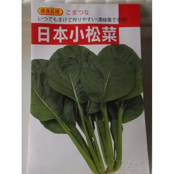 【滿699起免運】DIY種子栽種 成就滿滿~日本小松菜 【園丁花圃】