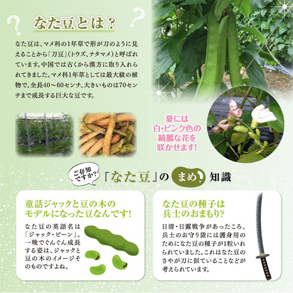 日本空運黑姬和漢藥研究所刀豆茶養生茶有現貨 蝦皮購物