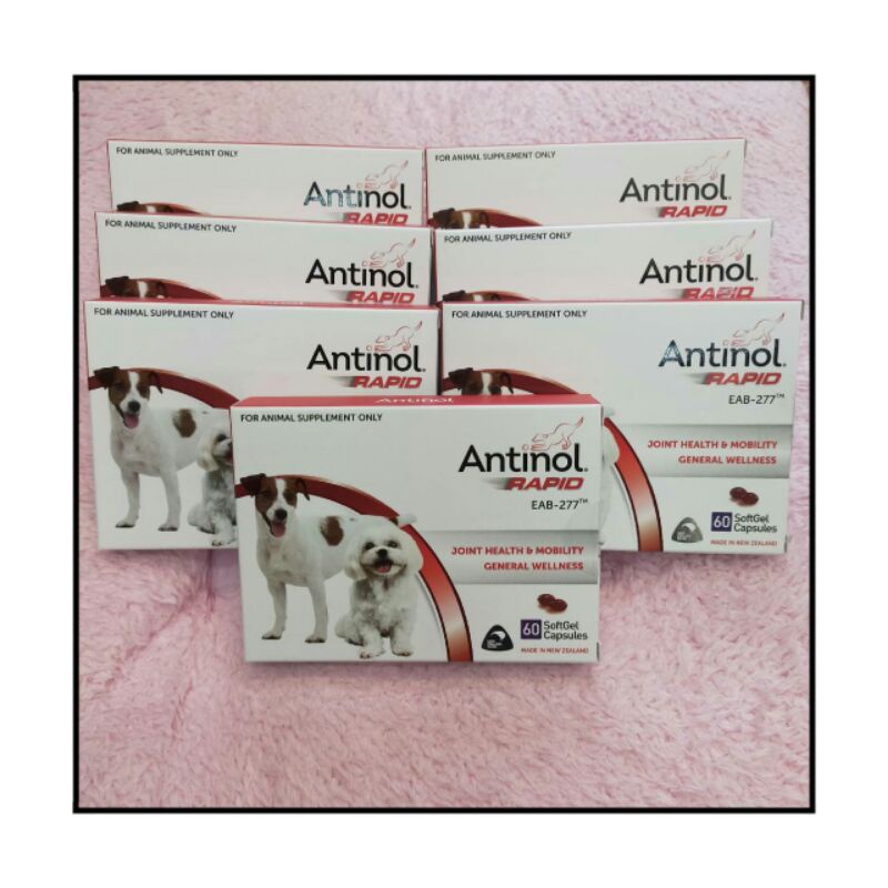 🎀安適得酷版🎀獸醫院正品現貨👍可刷卡✅五星好評⭐Antinol/貓狗共用/60入/關節/心血管