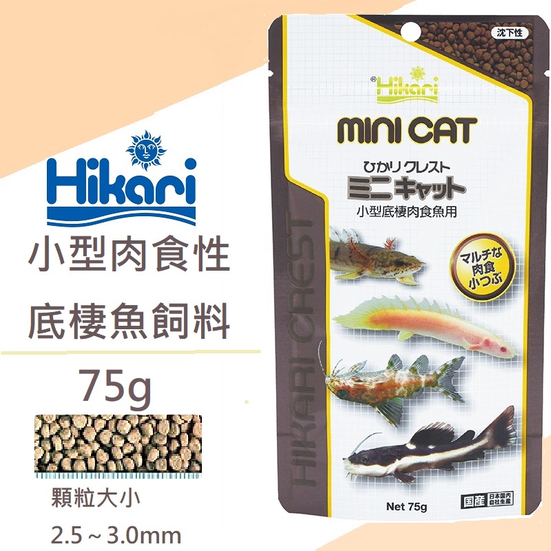 [魚樂福水族] 日本 Hikari 高夠力 小型肉食性底棲魚飼料 75g 沉水性 肉食魚 魚飼料 HK-28504