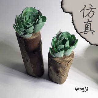多肉 模擬多肉 微景觀 P68 假多肉植物 辦公室小物 療癒紓壓生日禮物拍照道具居家裝飾咖啡屋商店擺飾迷你木頭底座盆栽