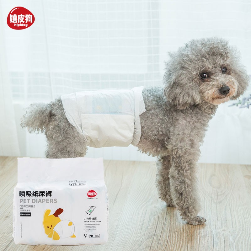 天使 狗狗生理褲泰迪小型犬內褲公狗專用安全褲尿不濕寵物紙尿褲發情褲 蝦皮購物