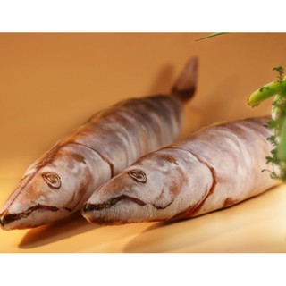 鹹魚抱枕 鹹魚 臺灣出貨 聖誕節 開發票 玩偶 交換禮物 魚 生日禮物 惡搞 療癒禮物【HL08】