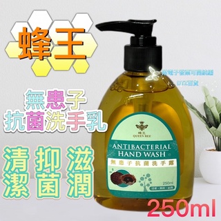 現貨可刷卡有發票 ［510035］蜂王無患子抗菌洗手乳250ml