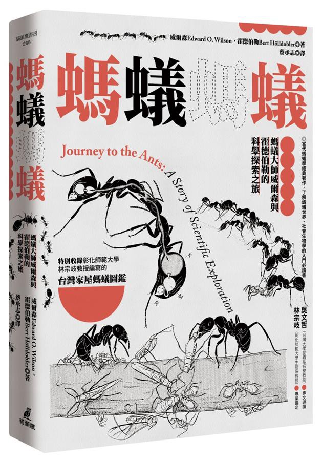 螞蟻螞蟻: 螞蟻大師威爾森與霍德伯勒的科學探索之旅/威爾森/ 霍德伯勒 eslite誠品