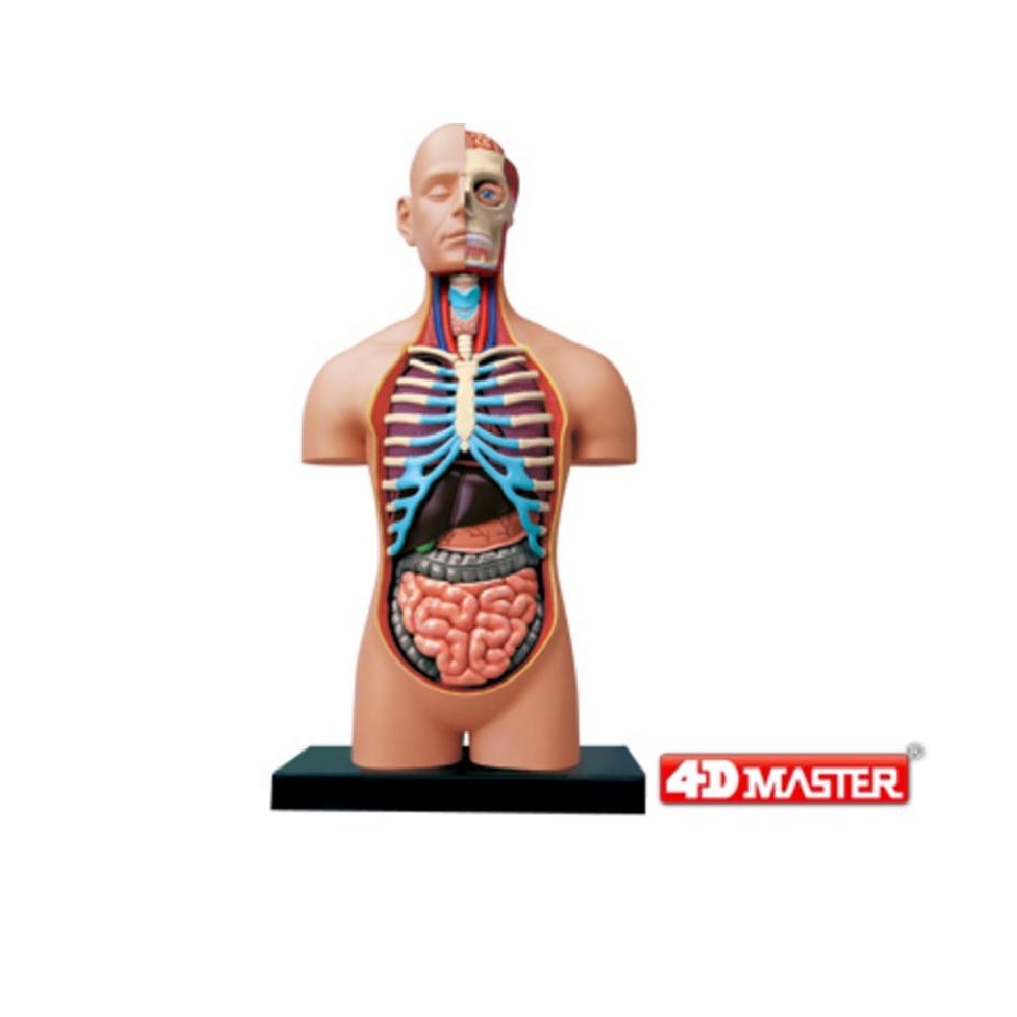 *-翔寶玩具屋-* ㊣ 4D PUZZLE 大型人體解剖-立體益智模型拼圖 ~ #26080