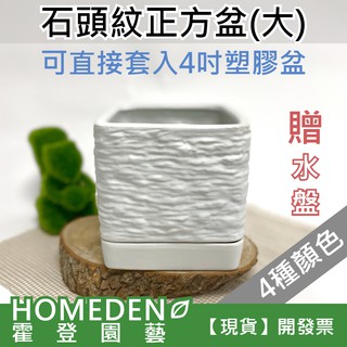 【臺灣現貨】石頭紋正方盆(大) 正方盆 陶瓷花盆 花器 多肉花盆 仙人掌花盆 居家盆栽【HOMEDEN霍登園藝】