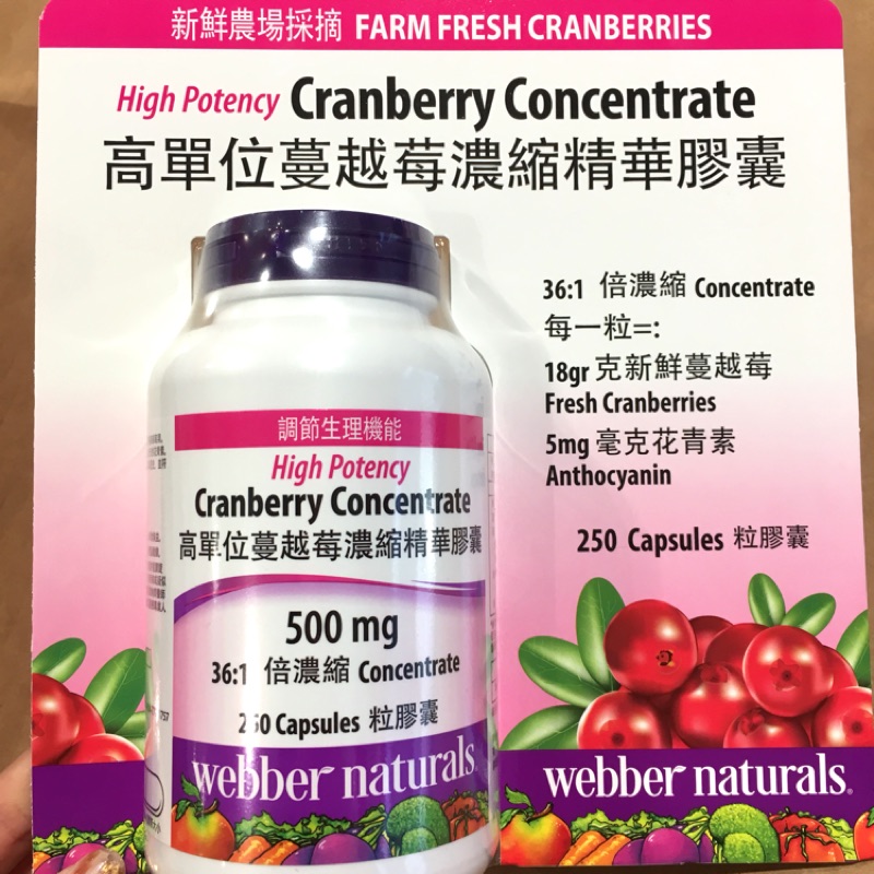 現貨快出🌺Webber naturals 高單位蔓越莓濃縮精華膠囊 250顆💊❤️❤️