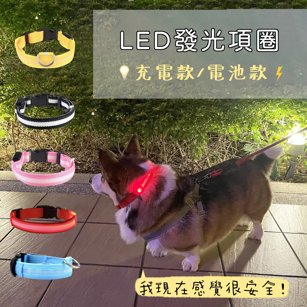 Pet 項圈 優惠推薦 寵物21年6月 蝦皮購物台灣