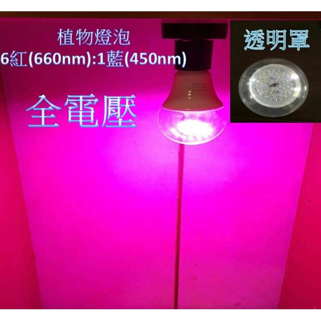 【晁光照明】LED 植物燈 LED植物燈泡 8.5W 紅光(660nm):藍光(450m)=6:1 LED燈ㄏ