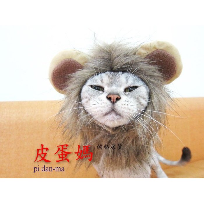 【魯蛋爺收藏品】DEC0059 獅子王 寵物變身帽 動物帽 獅子帽 獅子頭套 獅子假髮