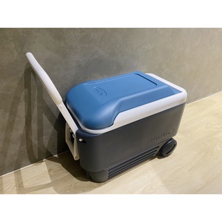 Igloo二手冰桶的價格推薦 2021年11月 比價撿便宜