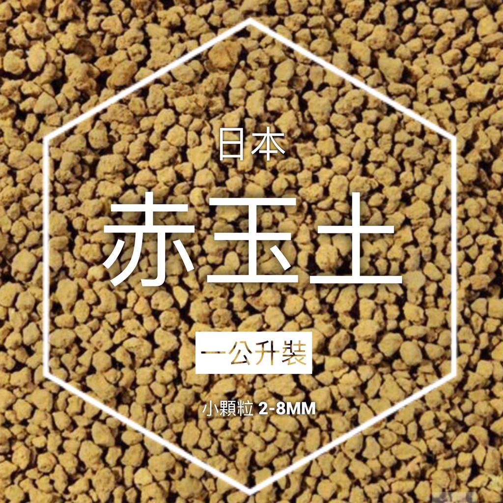小鮮肉肉 日本赤玉土 細粒 1 3mm 1 3 5l裝 燒赤玉鋪面多肉介質水草底砂水耕適用 蝦皮購物