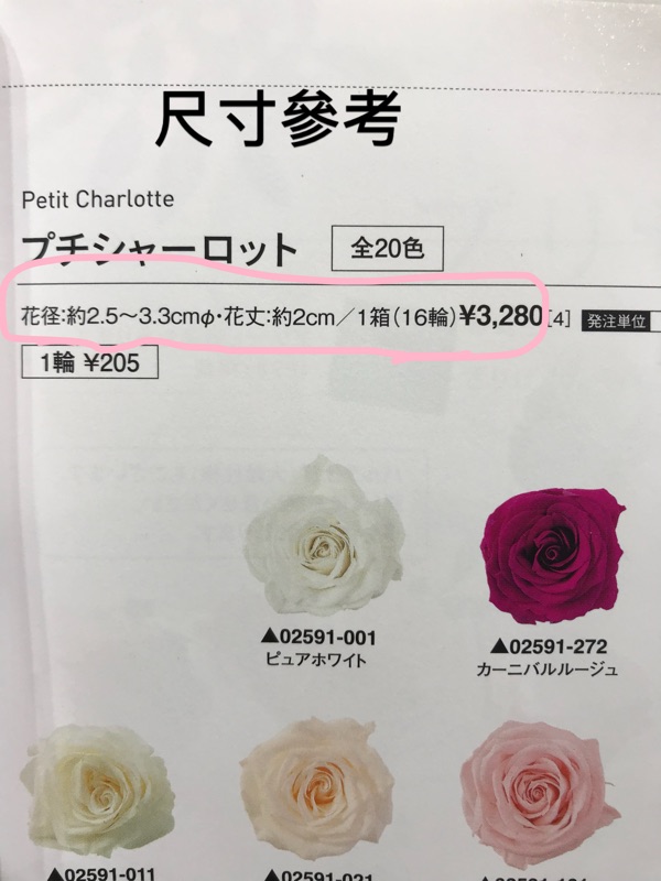 大地農園 不凋夏洛特玫瑰 型號系列 每朵68元 永生花 請務必參考完圖1 9 請務必參考商品描述 蝦皮購物