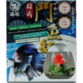 日式鬥魚缸 內建照明燈 飼養鬥魚 孔雀魚 角蛙 小型魚 桌上型魚缸 居家 辦公室 婷婷百貨 金金水族