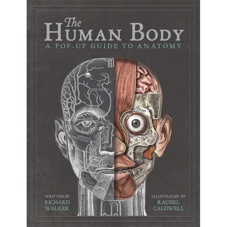 The Human Body: A Pop-Up Guide to/Richard Walker eslite誠品