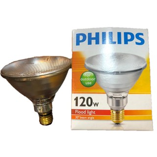 GE 奇異 PHILIPS Outdoor reflector PAR38 150W 戶外用 白熾燈 E27 220V