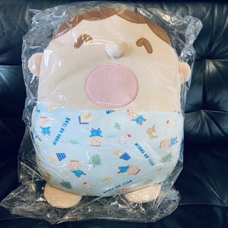 小靜撈寶店～Minna No Tabo 大寶的靠墊抱枕