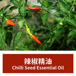 【馥靖精油】辣椒精油 Chilli Seed Essential Oil