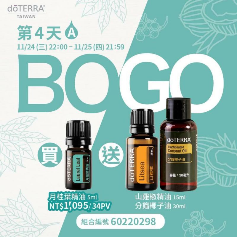 多特瑞 BOGO月桂葉送山雞椒+30ml椰子油