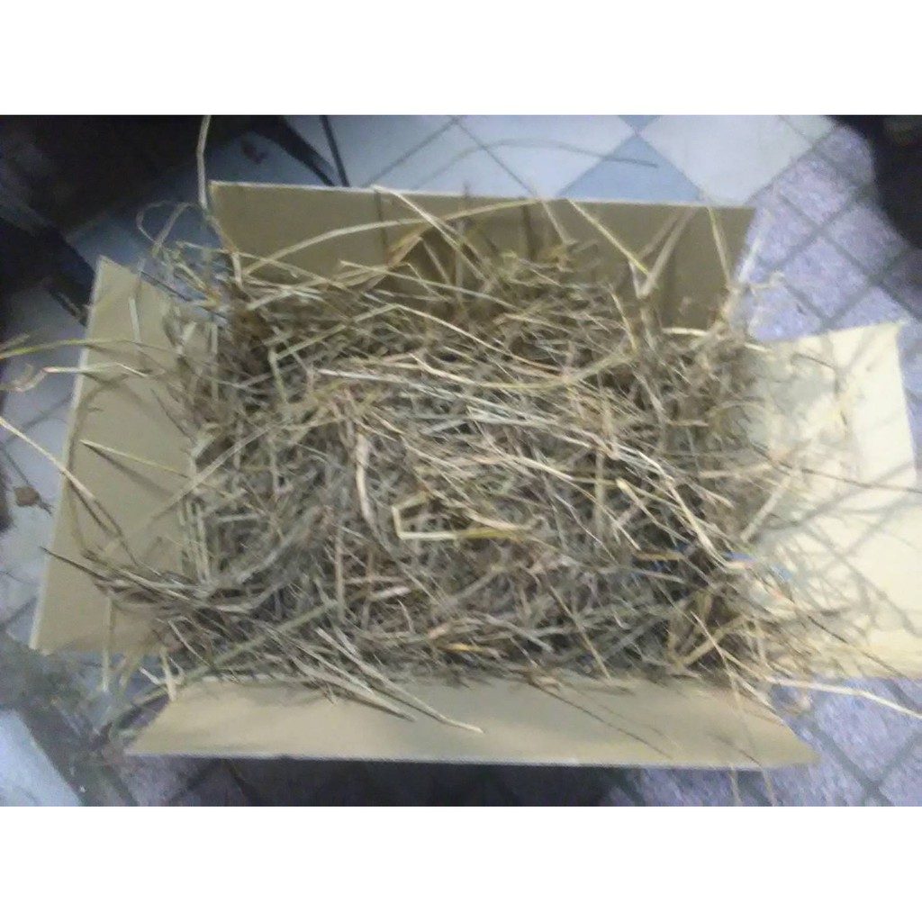 稻草殻及少數稻草桿 園藝肥料材料或種菜表面用 蛋雞生雞蛋用 古時引火把或柴燒 草履蟲實驗用 蝦皮購物